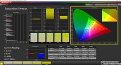 CalMAN Colorchecker 饱和度