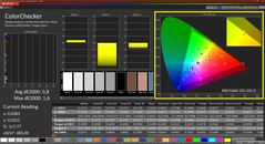 Colorchecker （校准，DCI P3）