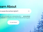 谷歌的人工智能教育工具 "Learn About "向美国部分用户开放（图片来源：谷歌）