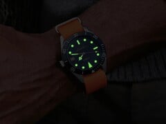 Bespoke Post x Timex Heritage 66 联名款现已正式官宣