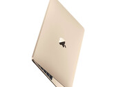 目前还没有具体证据表明新款 12 英寸 MacBook 正在开发中。(图片来源:Apple)