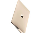目前还没有具体证据表明新款 12 英寸 MacBook 正在开发中。(图片来源：Apple)