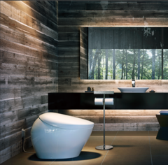 一家日本马桶制造商可能会从当前的人工智能热潮中获益匪浅