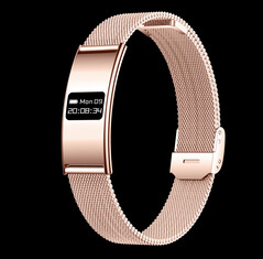 (图片来源：Rogbid）