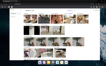 人工智能驱动的搜索选项