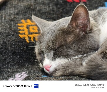 Vivo X300 Pro 400 mm，带远摄变焦镜头。