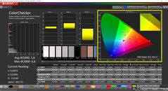 CalMAN ColorChecker（配置文件：显示 P3，目标色彩空间 P3）