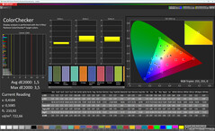 颜色（颜色：正常，色温：标准，目标色彩空间：sRGB）