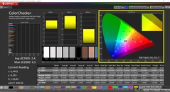 CalMAN ColorChecker（配置文件：原生，目标色彩空间：P3）
