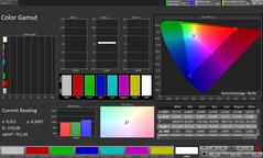 CalMAN sRGB 色彩空间
