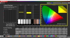 CalMAN ColorChecker（配置文件：Vivid，目标色彩空间：P3）