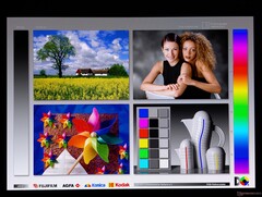 宽广的 OLED 视角
