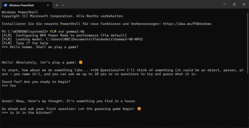 Windows PowerShell 中的 FastFlowLM