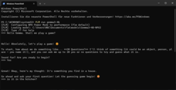Windows PowerShell 中的 FastFlowLM