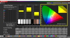 已校准 CalMAN ColorChecker（目标色彩空间：P3）