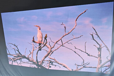 户外投影屏幕（日光）（图片来源：Daniel Schmidt）