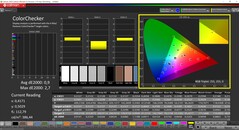 CalMAN ColorChecker 已校准