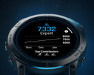 测试版 14.24 可通过 OTA 下载。(图片来源：Garmin）