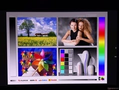 宽广的 OLED 视角