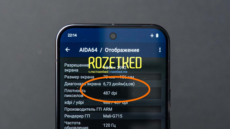 Pixel 9 Pro XL。(图片来源：Rozetked）