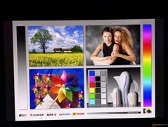 宽广的 OLED 视角