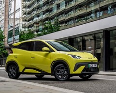 电动车比亚迪海豚冲浪(图片来源:比亚迪)