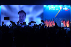 特斯拉在欧洲各地的销量大幅下滑:埃隆-马斯克的政治活动似乎有损公司利益