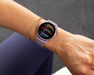 Vivoactive 5 在本月迎来了第三个测试版更新。(图片来源：Garmin）