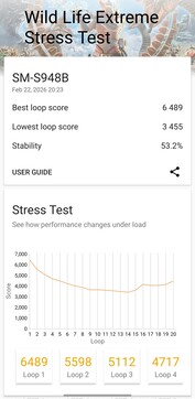 3DMark Wild Life Extreme Stress Test。
