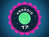 Android 17 的最新 Betas 可能泄露了即将推出的 Google Pixel 11 Pro 折叠版的颜色