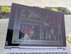 在户外，沐浴在阳光下