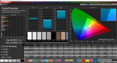 CalMAN ColorChecker (校准后)