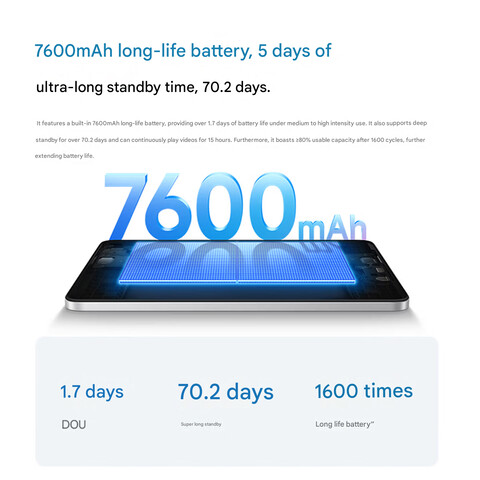 电池详细信息（机译）