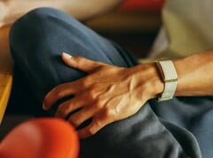 Garmin 可能很快就会推出一款替代产品，如图所示的 Polar Loop。