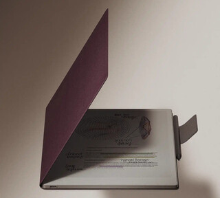 Remarkable Paper Pro（带对开盒