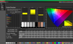 校准前的 ColorChecker（P3）