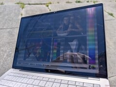 在户外，沐浴在阳光下