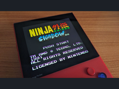 忍者外传：暗影 DX》X 版预告图（图片来源：Marc Max）