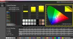 CalMAN ColorChecker（配置文件：Display P3）
