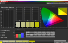 CalMAN 饱和度校准