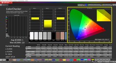 CalMAN ColorChecker（配置文件：显示 P3，目标色彩空间：P3）