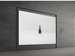 三星新款 130 英寸 Micro RGB 电视（图片来源：三星）