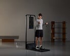 某人在“Gym Monster”健身房锻炼