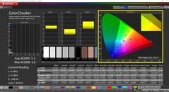 CalMAN ColorChecker（配置文件：校准，目标色彩空间：P3）