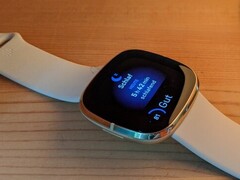 Fitbit Sense 和 Versa 3 可能会过热(图片来源:Inge Schwabe)