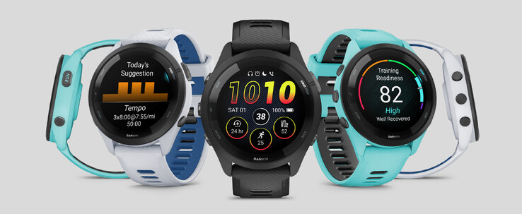 (图片来源：Garmin）