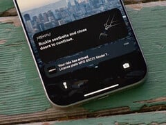新的 Model Y 顺风车应用程序将是这样的。(图片来源：特斯拉/X）