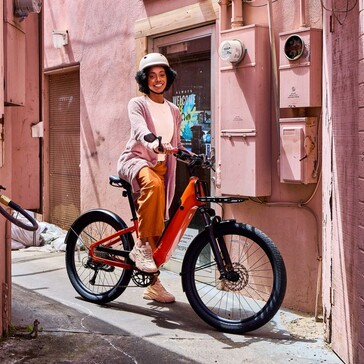 Momentum Vida E+ 电动自行车最大有效载荷可达 300 磅（136 千克）（图片来源：Momentum）