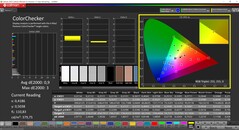 CalMAN ColorChecker（配置文件：sRGB，目标色彩空间：sRGB）