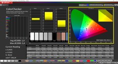 CalMAN ColorChecker（本地配置文件，P3目标色彩空间）。